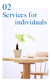 Individual Clients 
